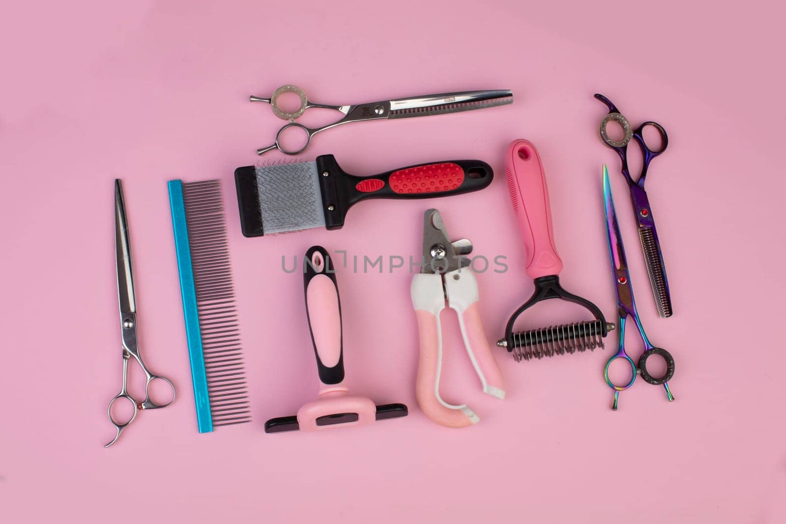 Tool for the groomer on a pink background. Dog grooming accessories. Combs and brushes for animals. View from above