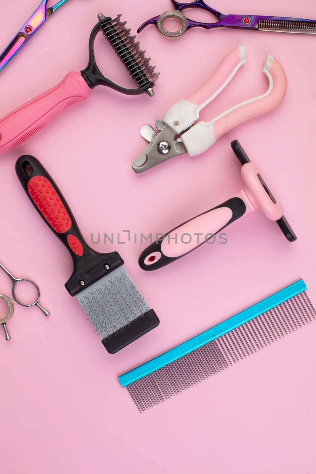 Tool for the groomer on a pink background. Dog grooming accessories. Combs and brushes for animals. View from above