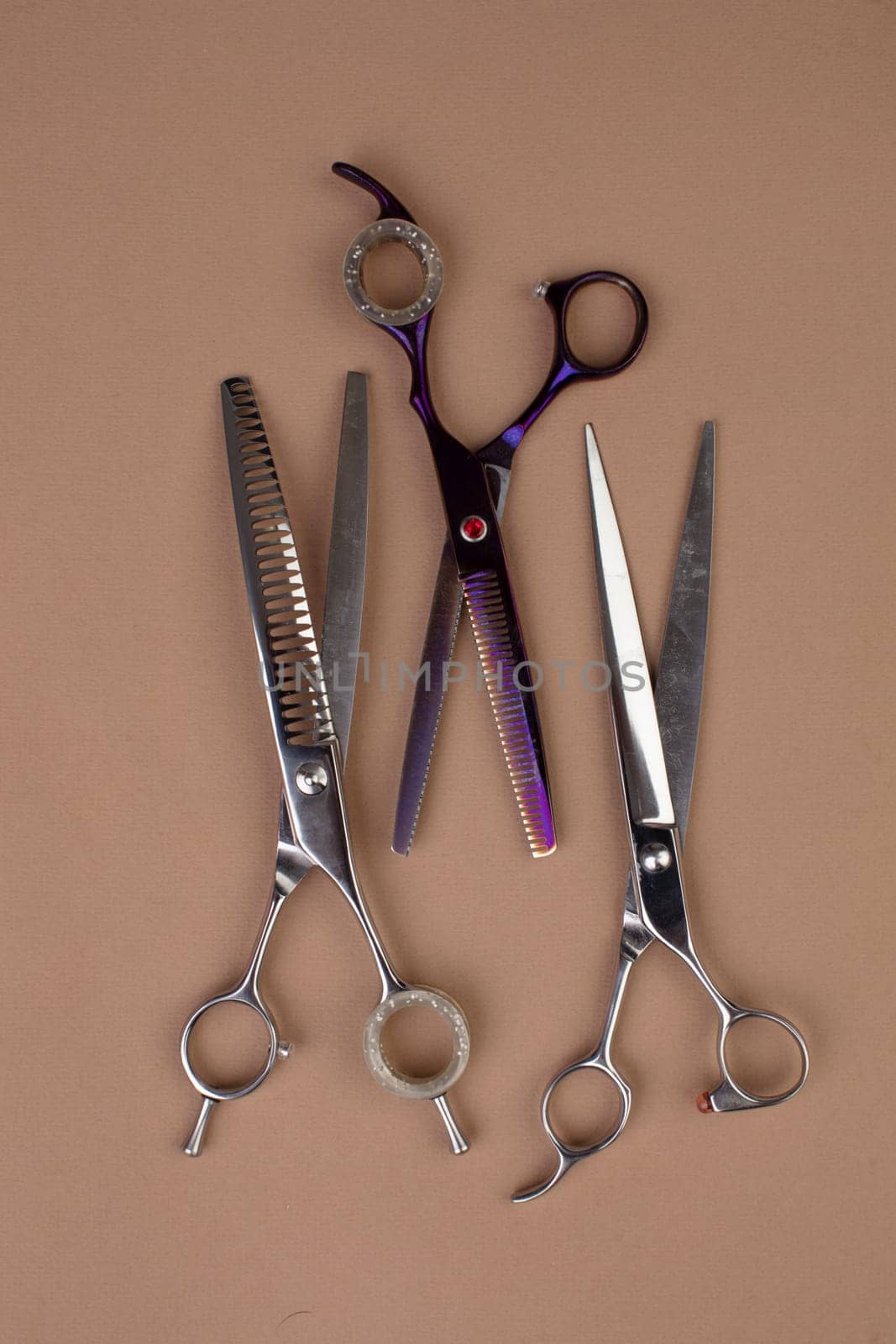 Tool for the groomer on a beige background. Dog grooming accessories. Scissors for cutting animals. View from above