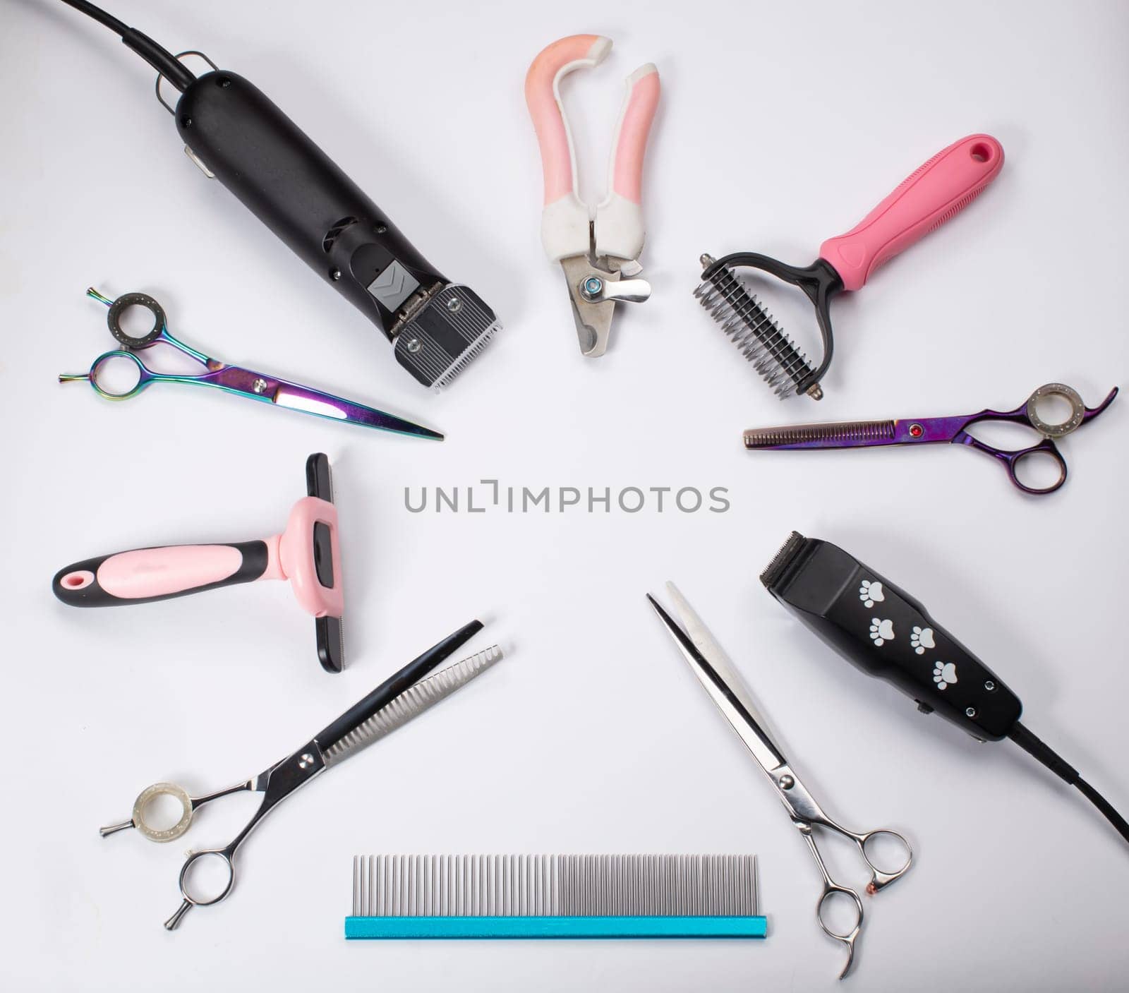 Tool for the groomer on a white background. Dog grooming accessories. Scissors for cutting animals. View from above by Sviatlana