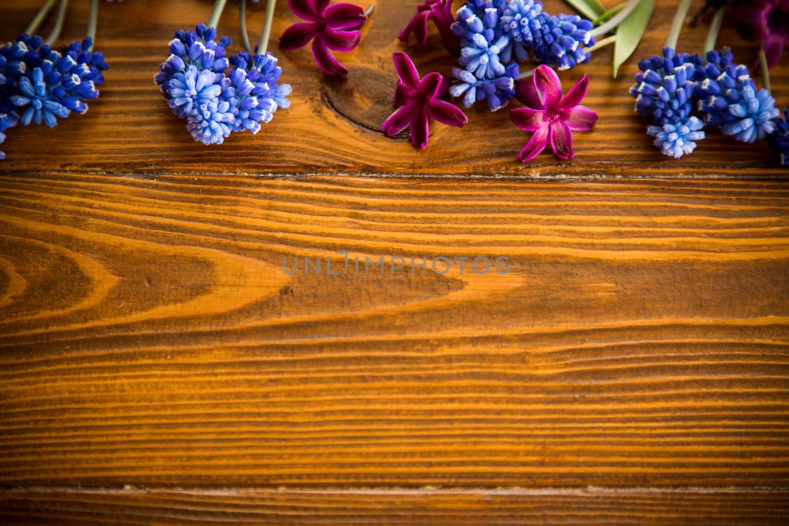 Wooden background with spring flowers and empty space for text.
