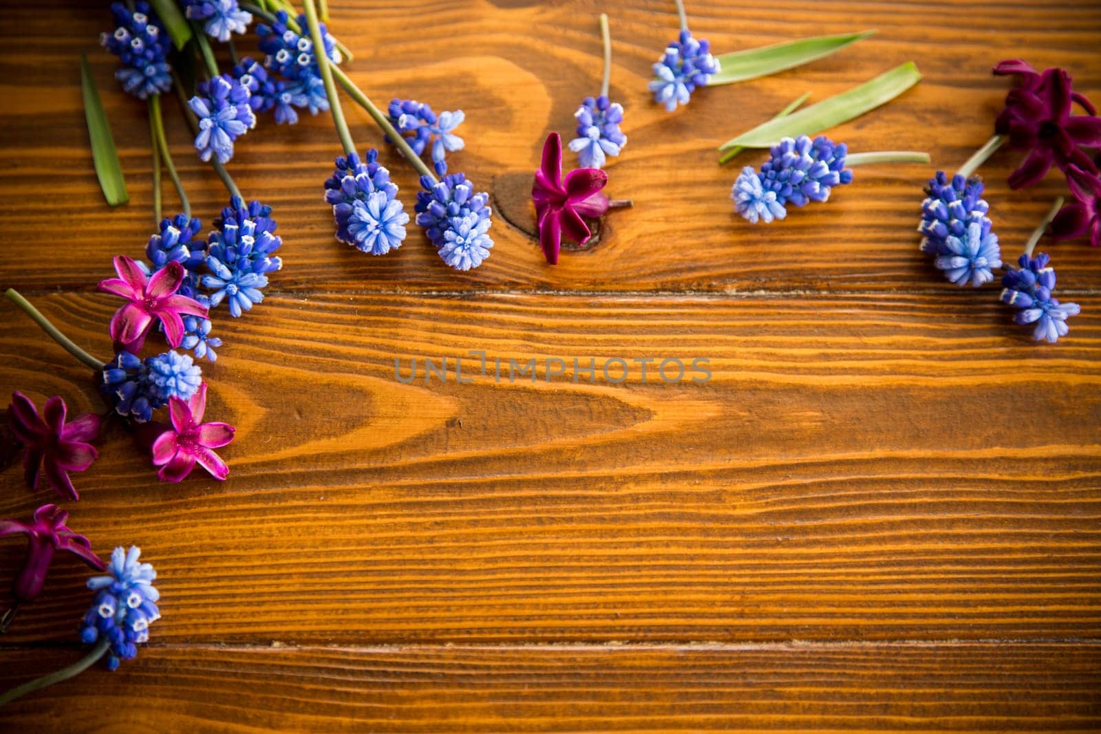Wooden background with spring flowers and empty space for text.