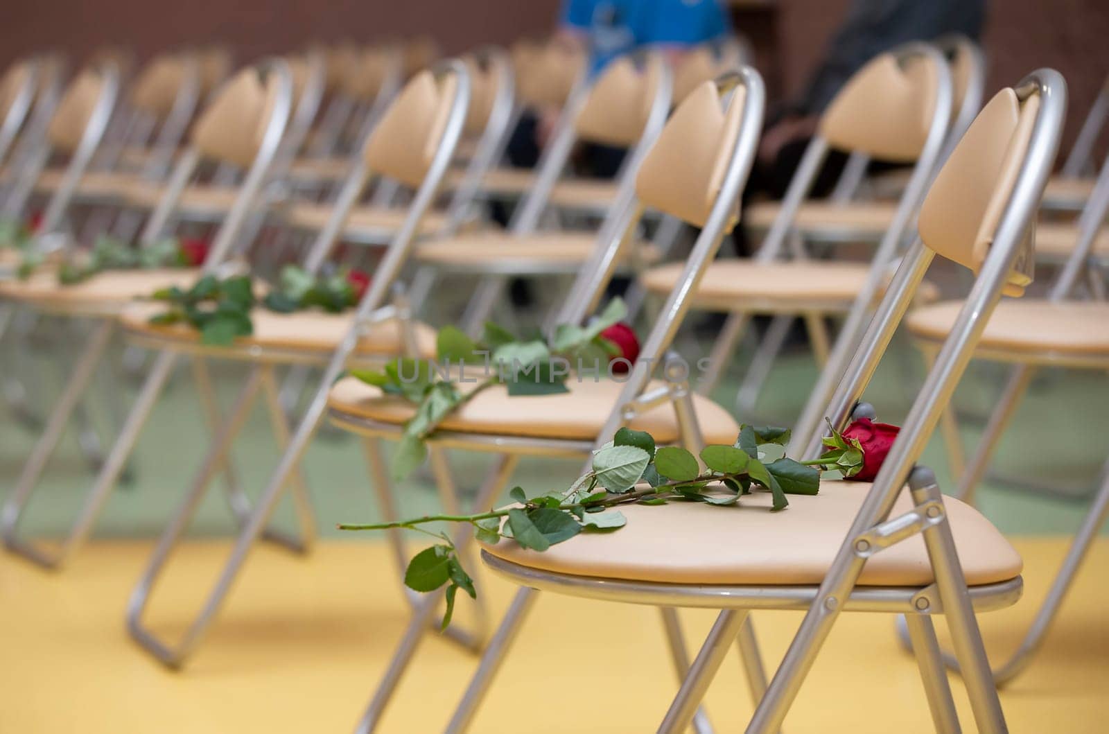 Red roses lie on empty chairs. Row of chairs with flowers.