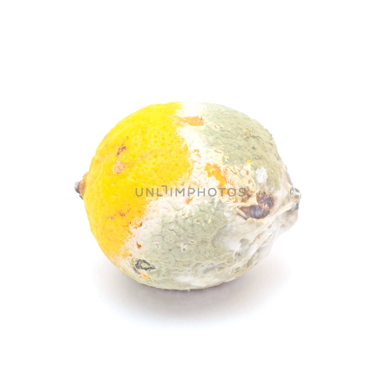 Ugly food.Moldy lemon isolated on white background.