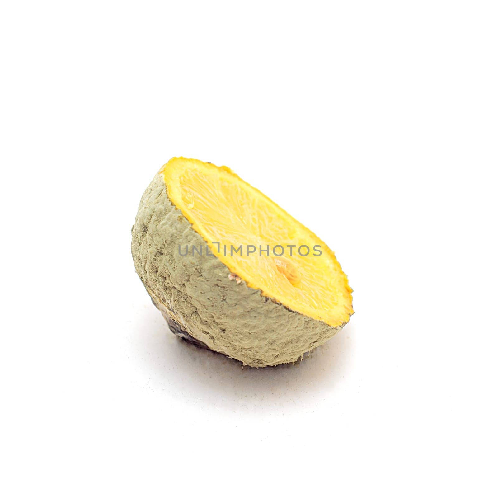 The half of Moldy lemon isolated on white background. by andre_dechapelle