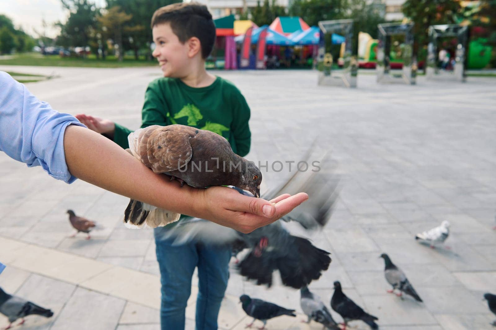 Selective focus on a rock pigeon feeding bird seed from the hand of a woman. Children. Family outing. Wild animals. The installing of love and care for animals from childhood