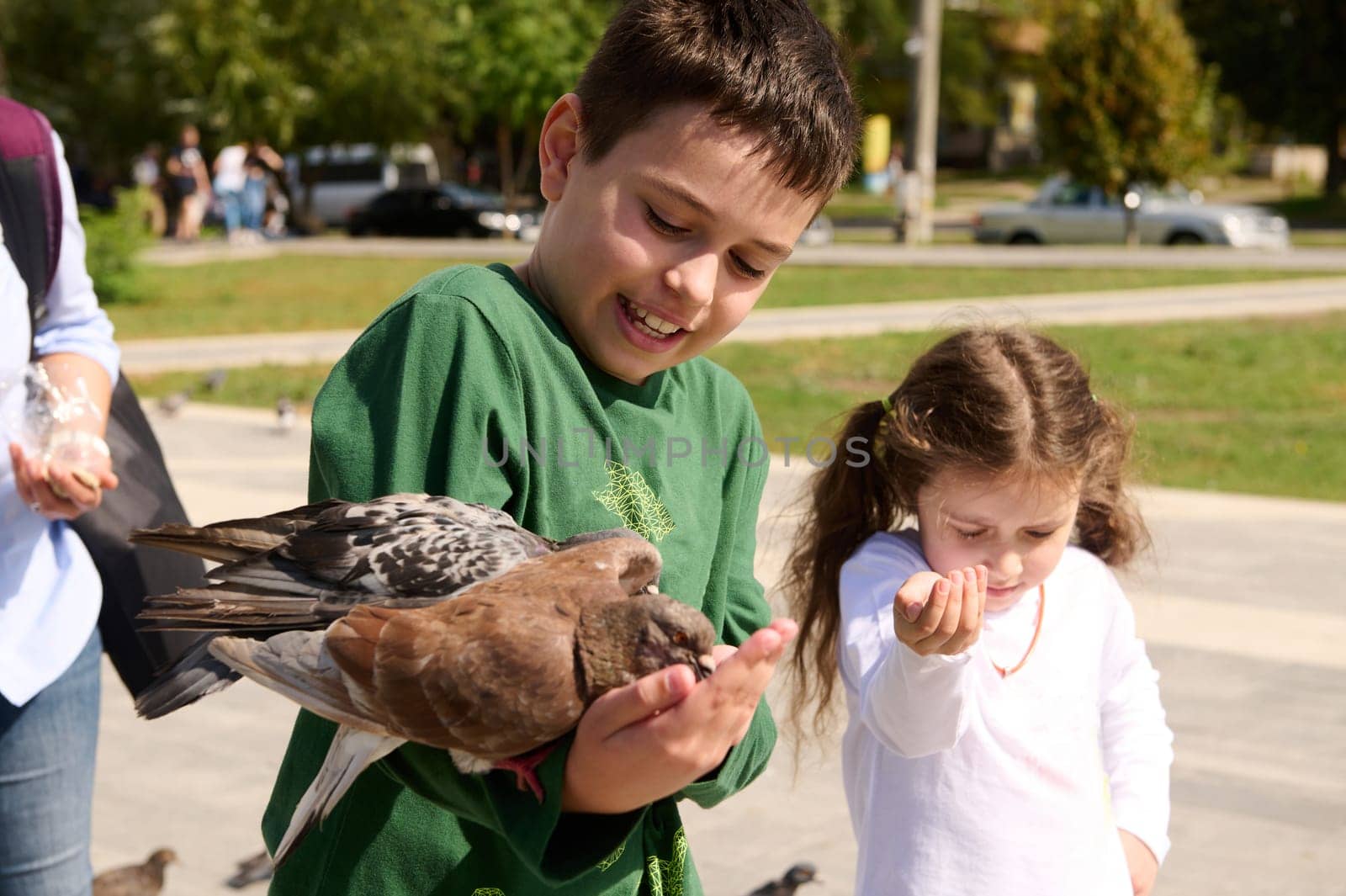 Adorable Caucasian child boy, 10 years old feeding pigeon sitting on his hand during family outing on a spring sunny day by artgf