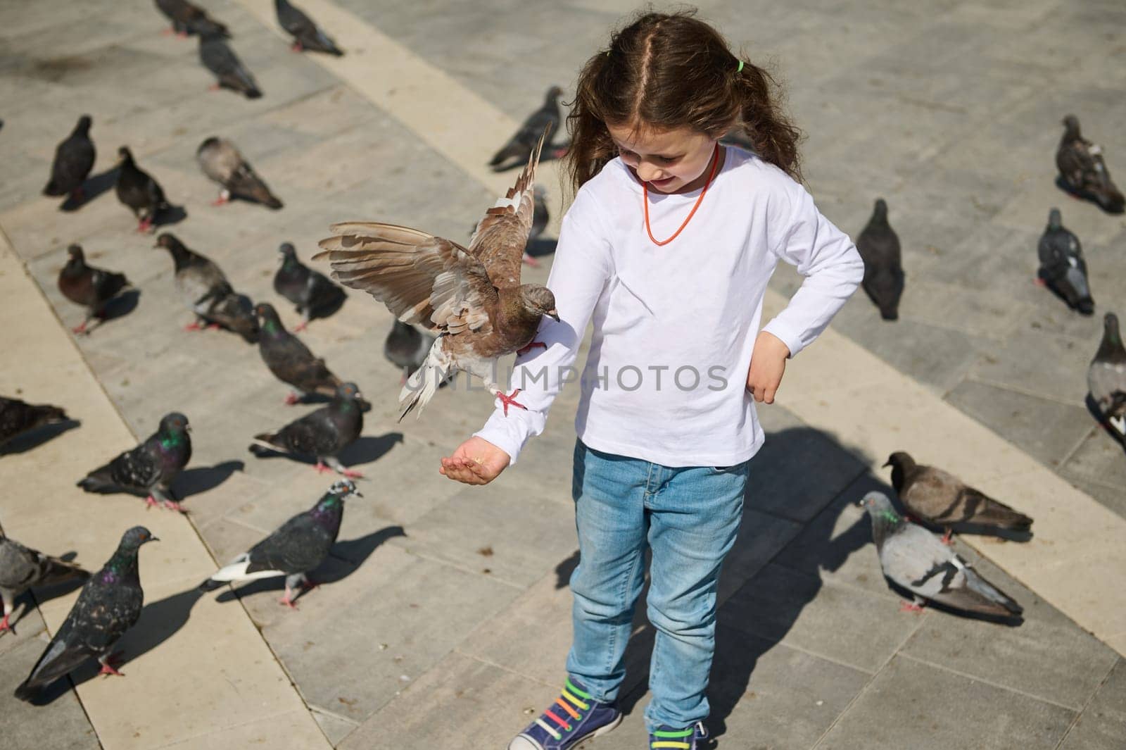 View from above of adorable Caucasian little child girl standing in the square and feeding rock doves on her hand by artgf