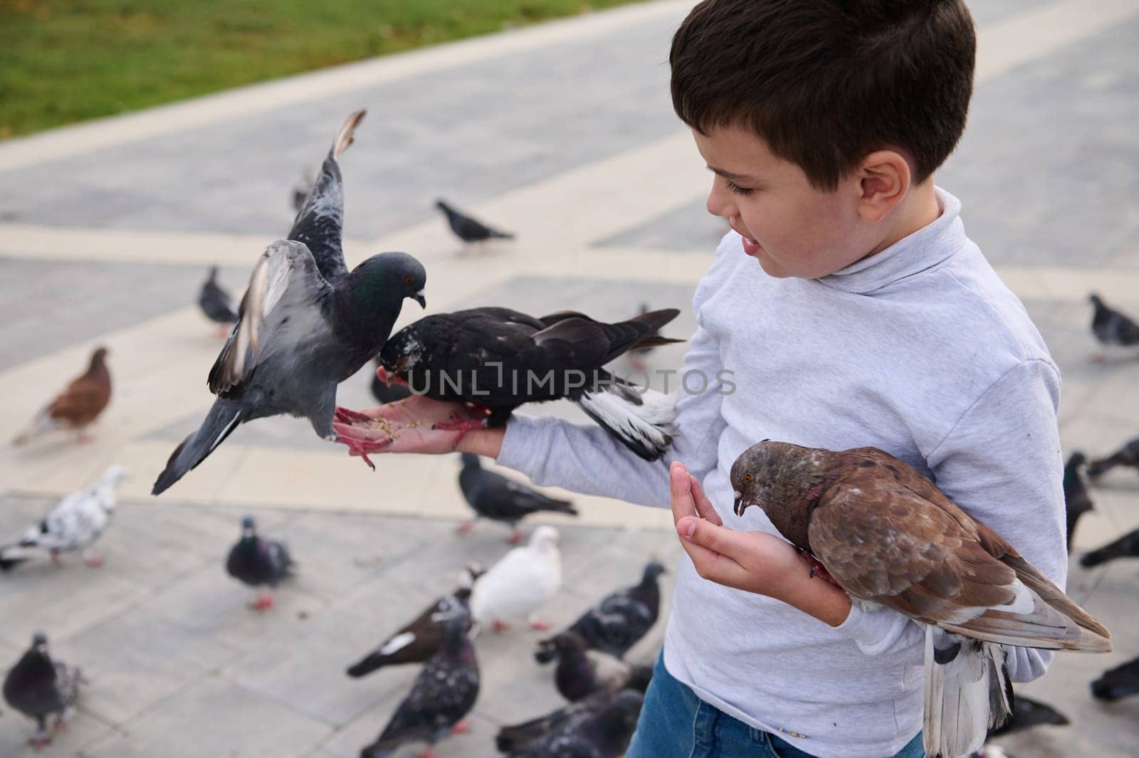 Close-up Caucasian child 10 years old, school boy feeding rock pigeons with bird seeds in the park square. by artgf