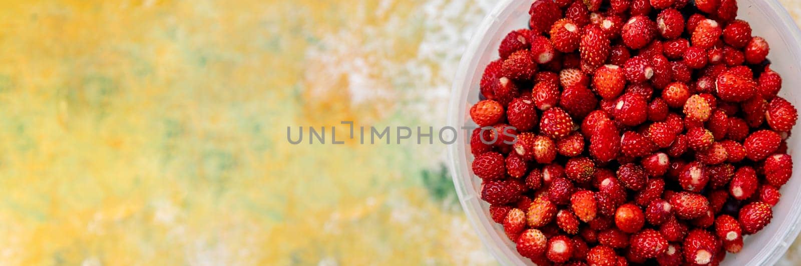 Ripe wild strawberries in a bowl held by a woman's hand. Garden strawberries in a bowl.