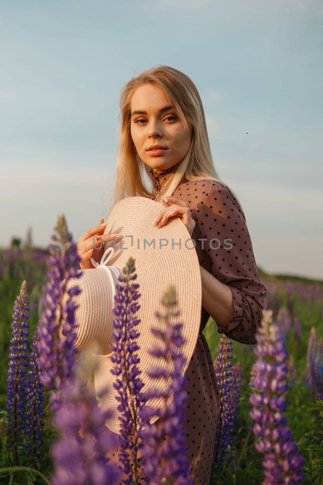 A beautiful woman in a straw hat walks in a field with purple flowers. A walk in nature in the lupin field.