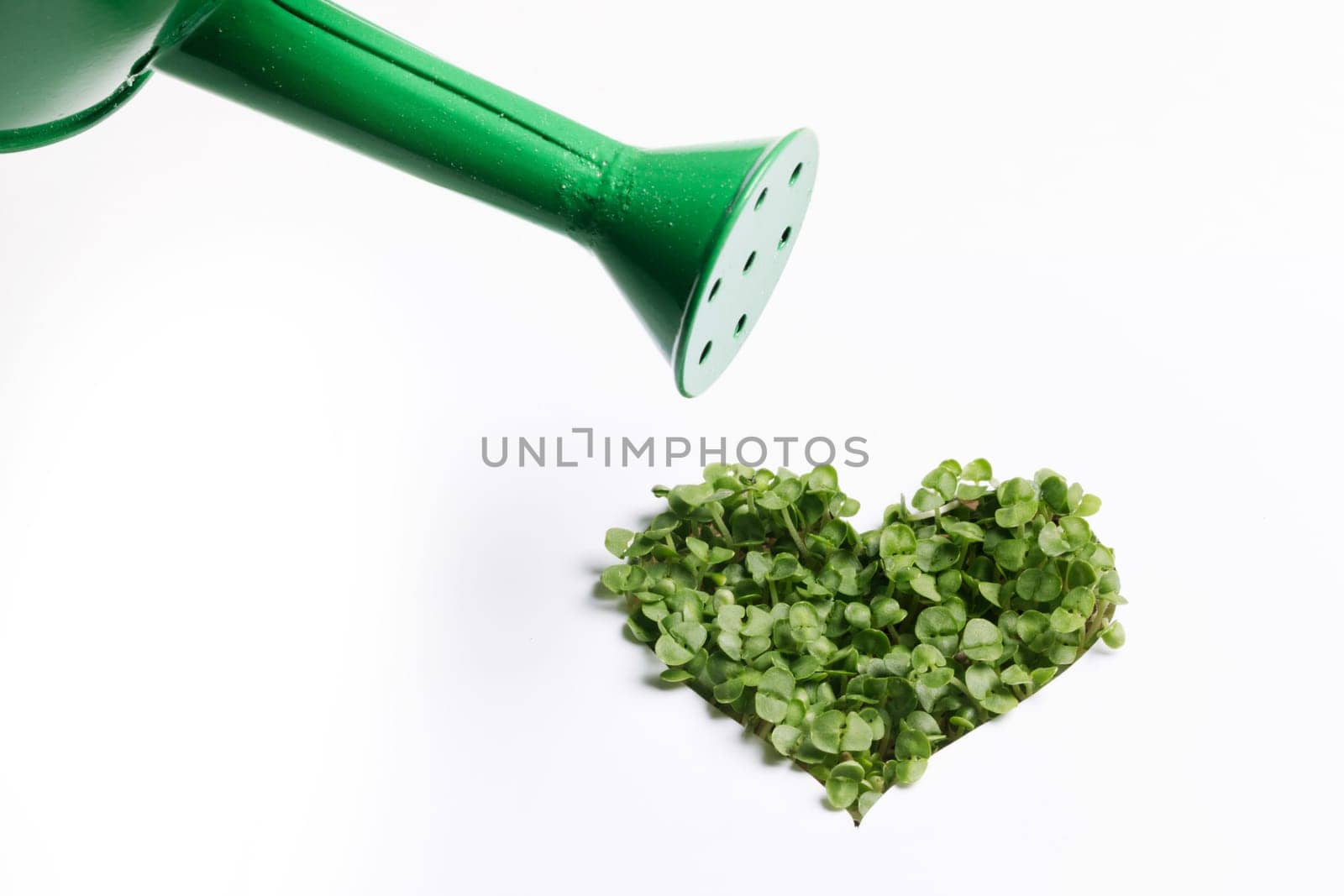 Watering can and sprout green plants growing a heart shape isolated on white background