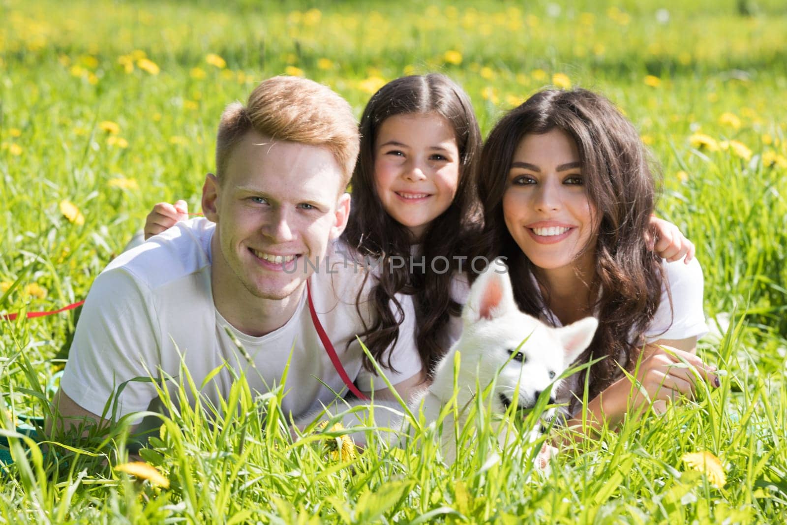 Portrait of happy family on grass field, Two parents and daughter lay down on lawn with dog puppy husky