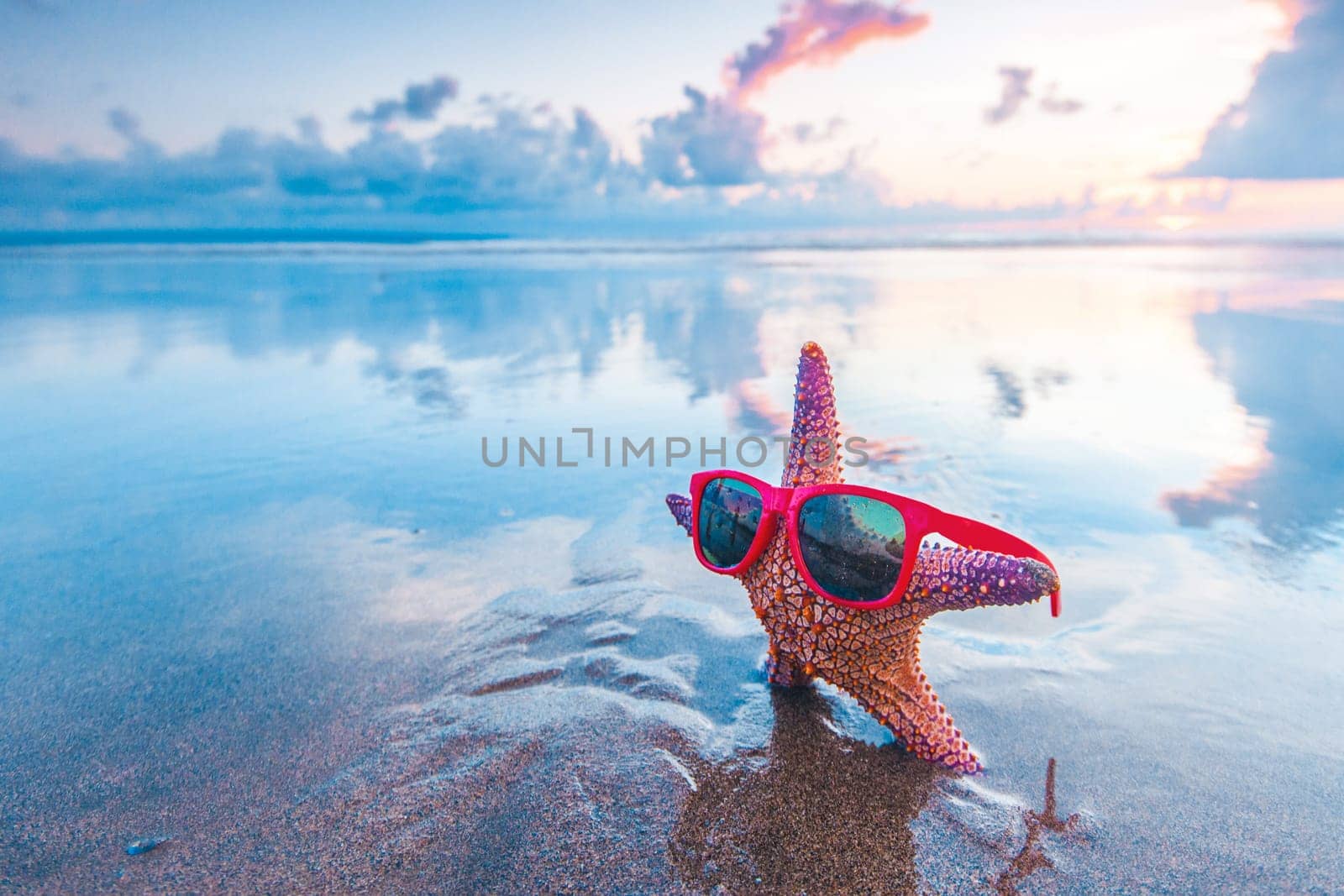 Starfish in sunglasses on the summer beach at sunset tropical vacation concept