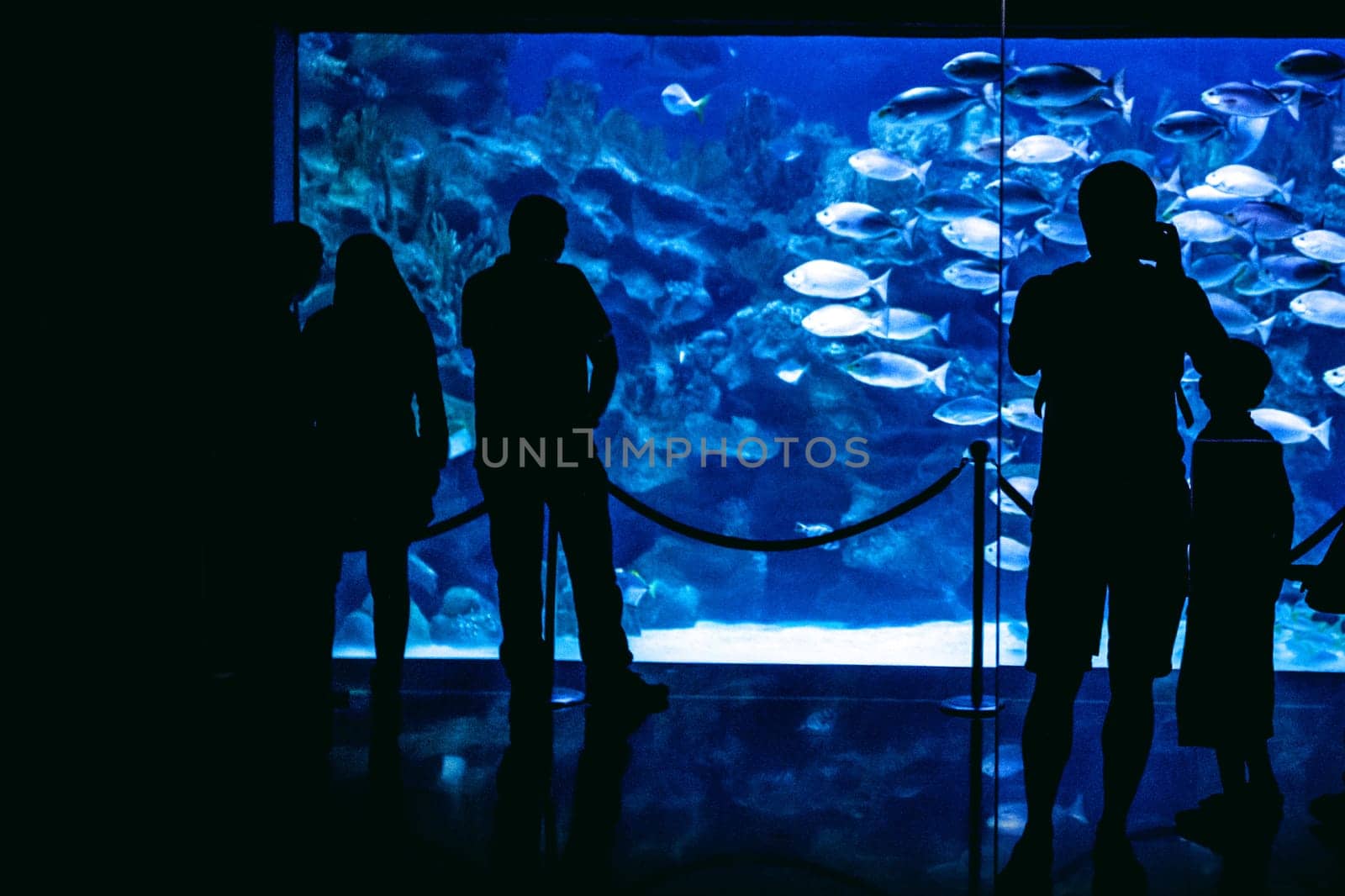 silhouette people in great aquarium by Yellowj