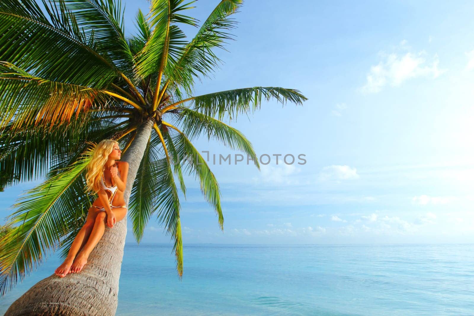 woman on palm sea on backgroud