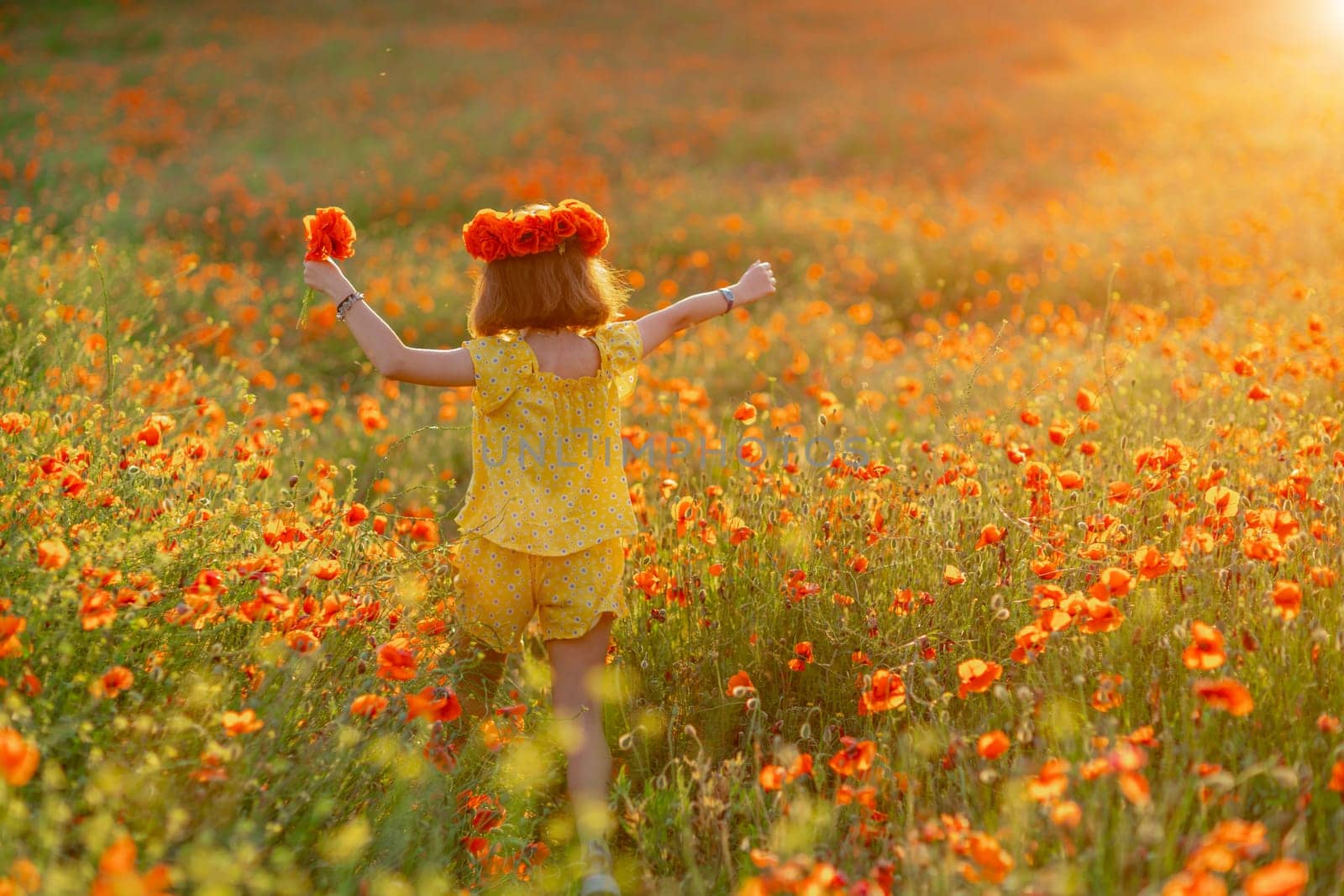 Happy girl poppy field walks under the evening sun. Back view.