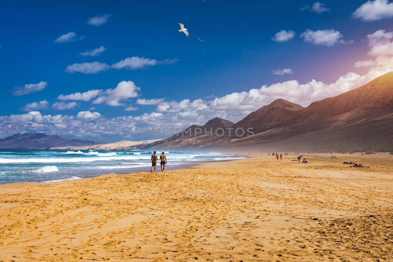 Amazing Cofete beach with endless horizon. Volcanic hills in the background and Atlantic Ocean. Cofete beach, Fuerteventura, Canary Islands, Spain. Playa de Cofete, Fuerteventura, Canary Islands.