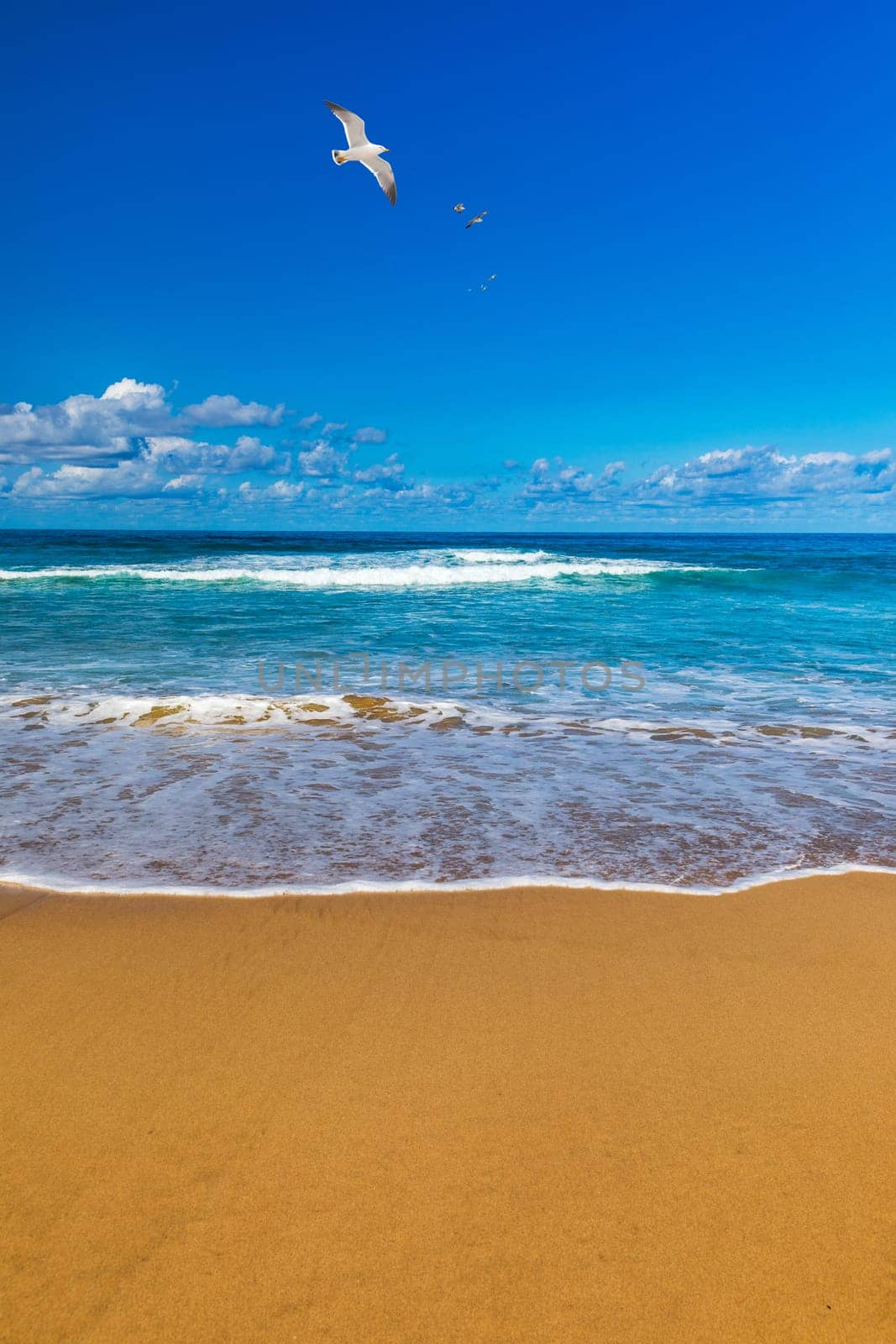 Amazing Cofete beach with endless horizon. Volcanic hills in the background and Atlantic Ocean. Cofete beach, Fuerteventura, Canary Islands, Spain. Playa de Cofete, Fuerteventura, Canary Islands.