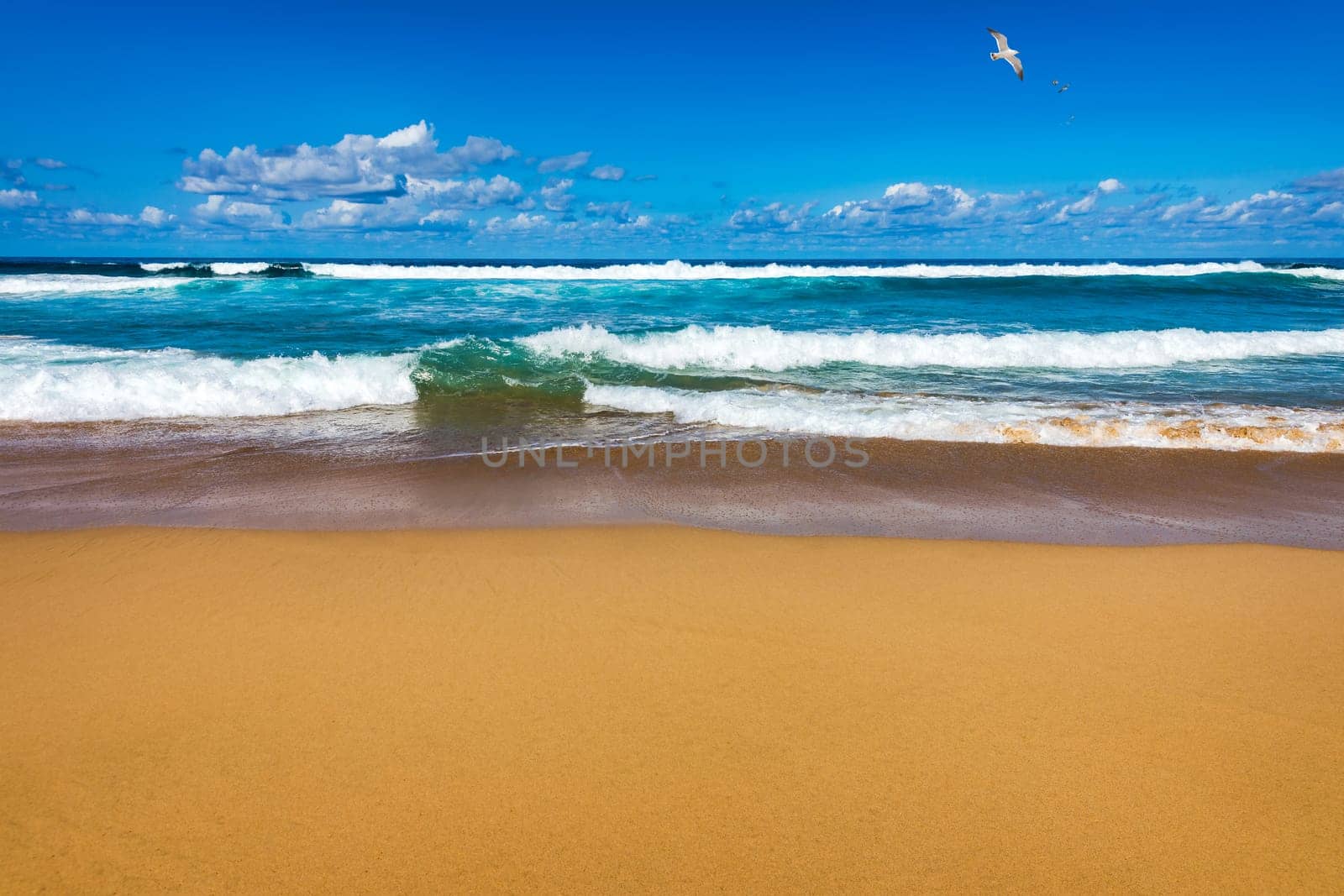Amazing Cofete beach with endless horizon. Volcanic hills in the background and Atlantic Ocean. Cofete beach, Fuerteventura, Canary Islands, Spain. Playa de Cofete, Fuerteventura, Canary Islands.