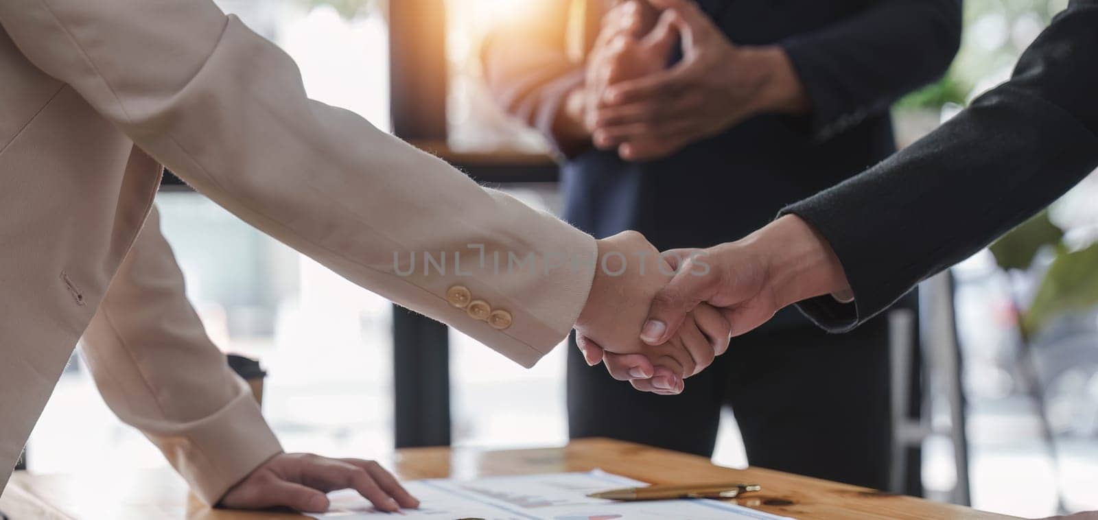 Business people shaking hands, finishing up meeting, business etiquette, congratulation, merger and acquisition concept...