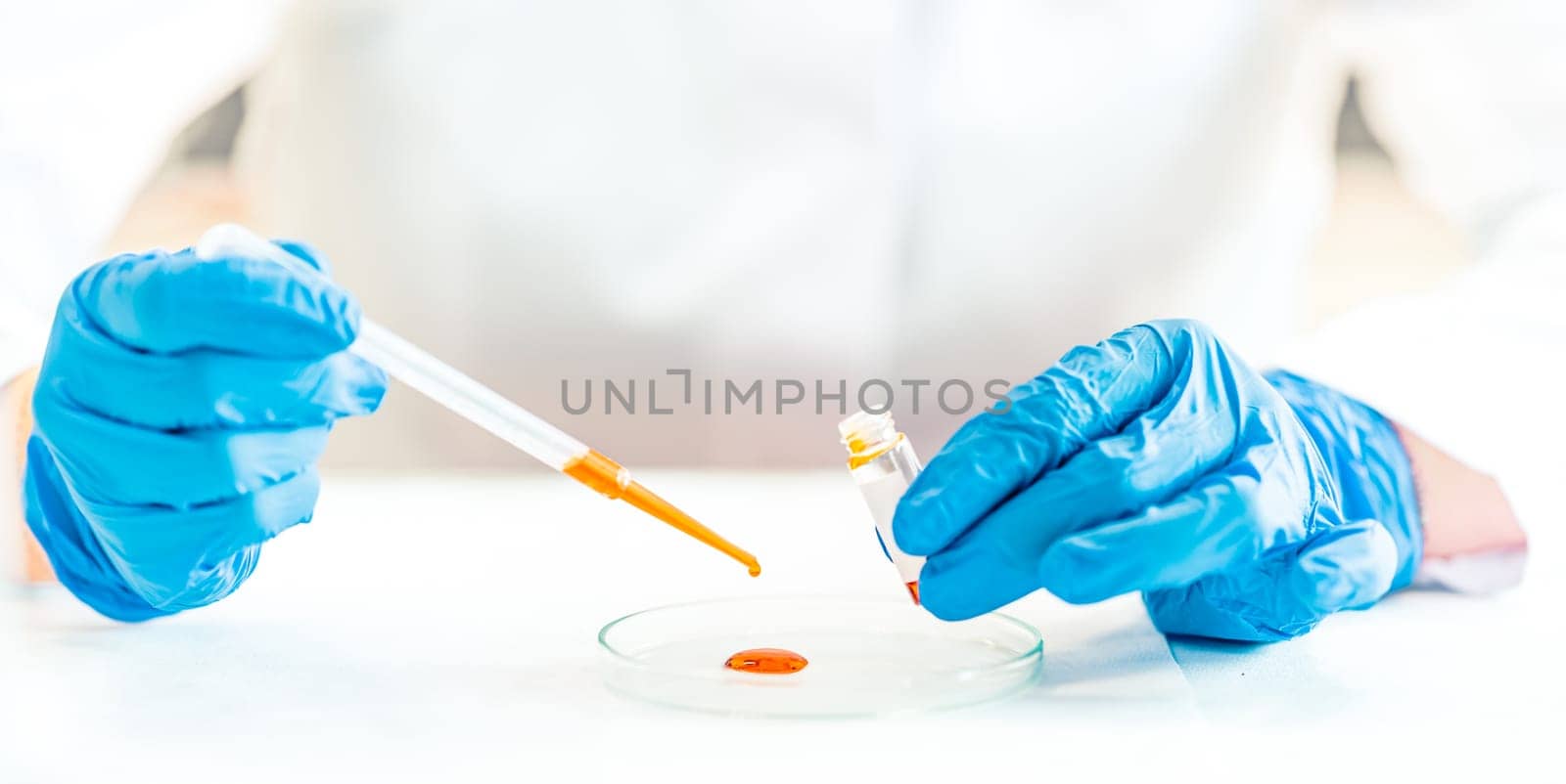 a scientist examines a chemical sample on a peri dish in a laboratory. banner with copy space by Edophoto