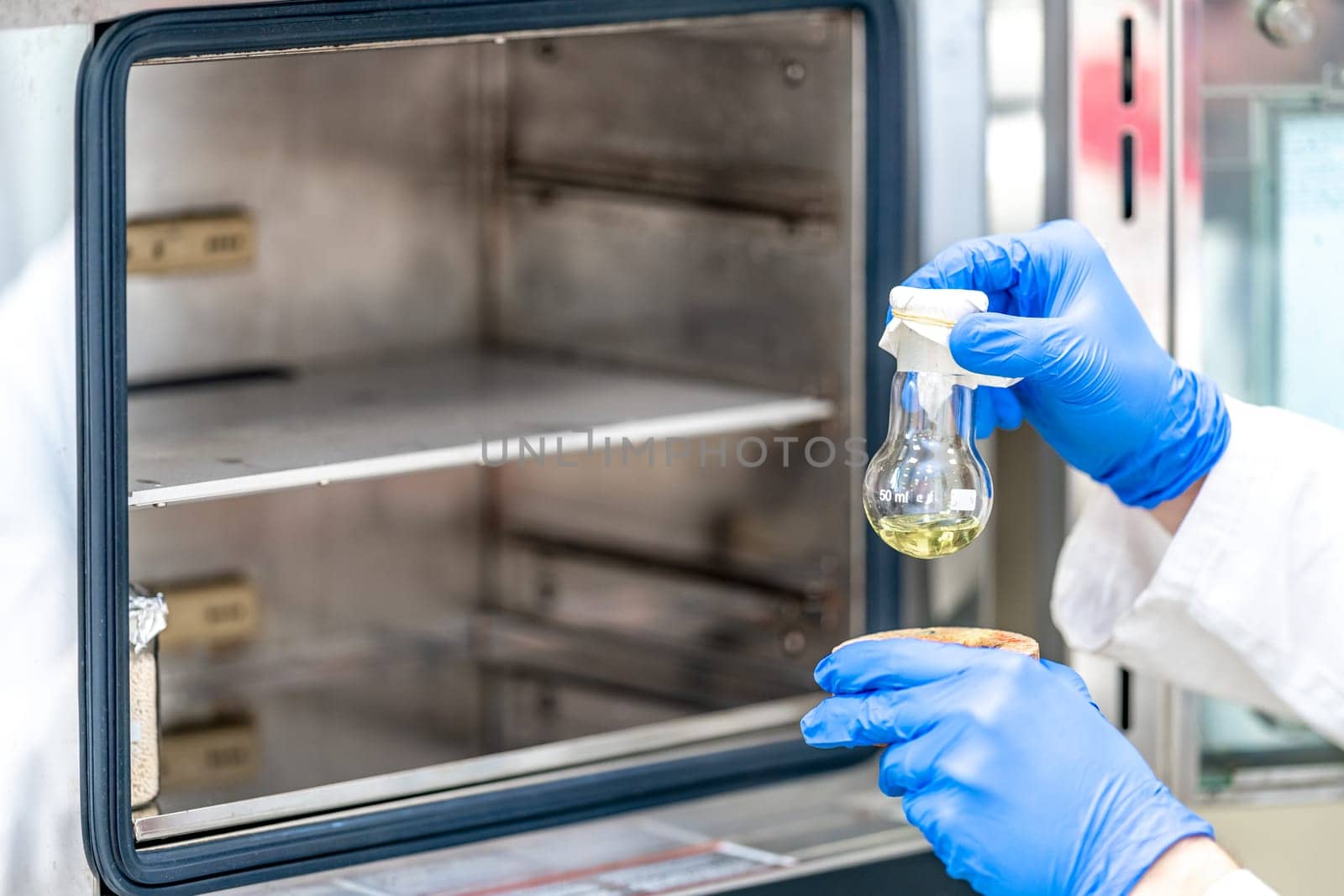 heating a chemical sample in a furnace in a research scientific laboratory. High quality photo