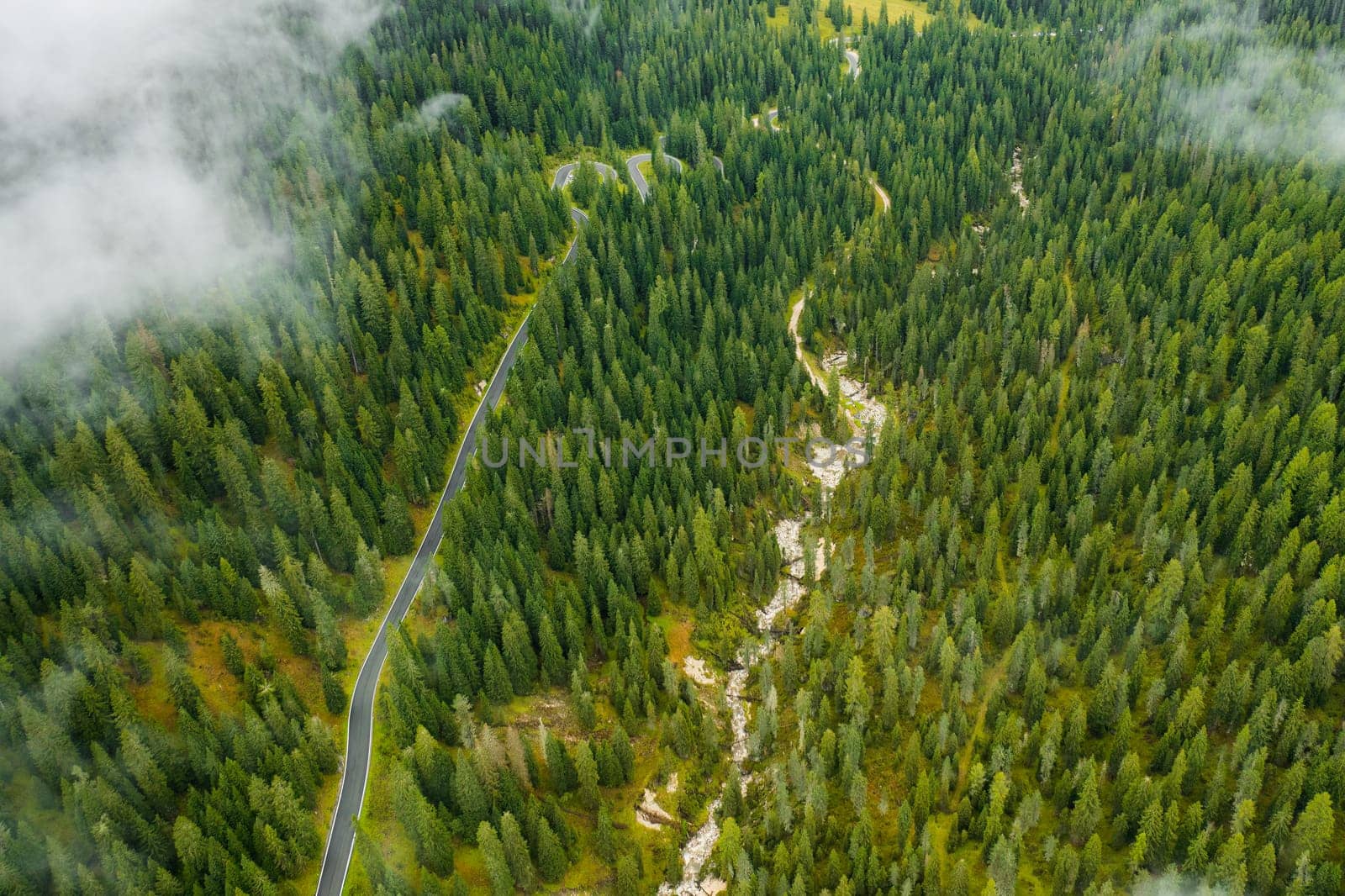 Aerial view of thick forest in summer and countryside road.