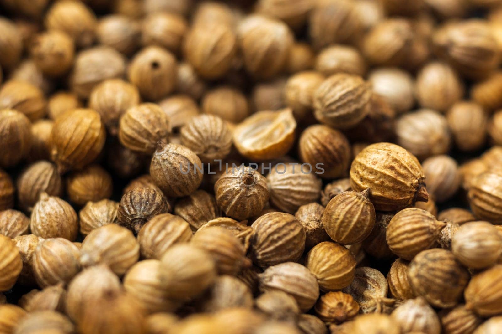 Macro shot of coriander seeds. Organic food, healthy lifestyle. Medicinal herbs and spices