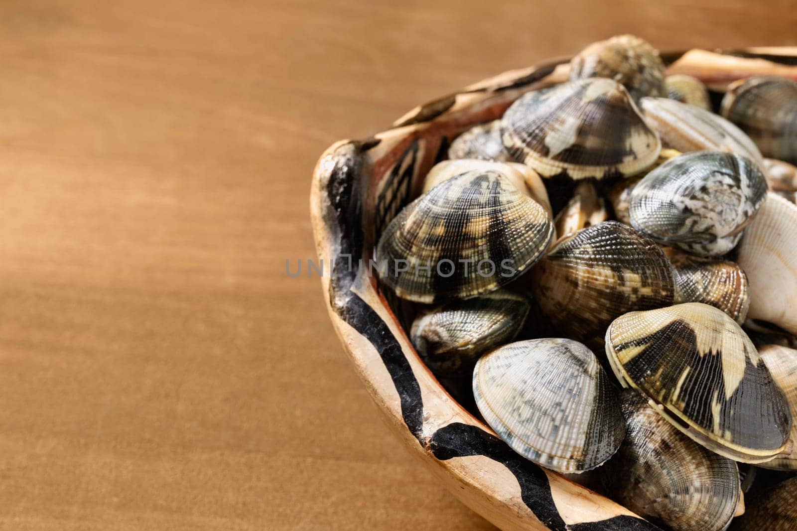 Plate with uncooked clams ,edible  bivalve molluscs , 