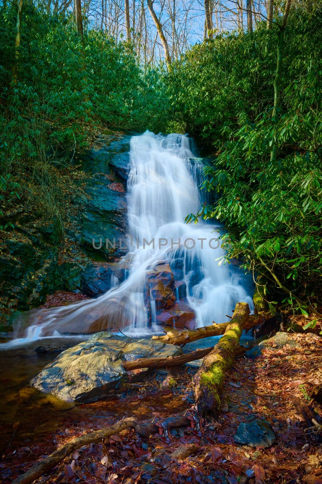 Log Hollow Falls in Pisgah National Forest, North Carolina.