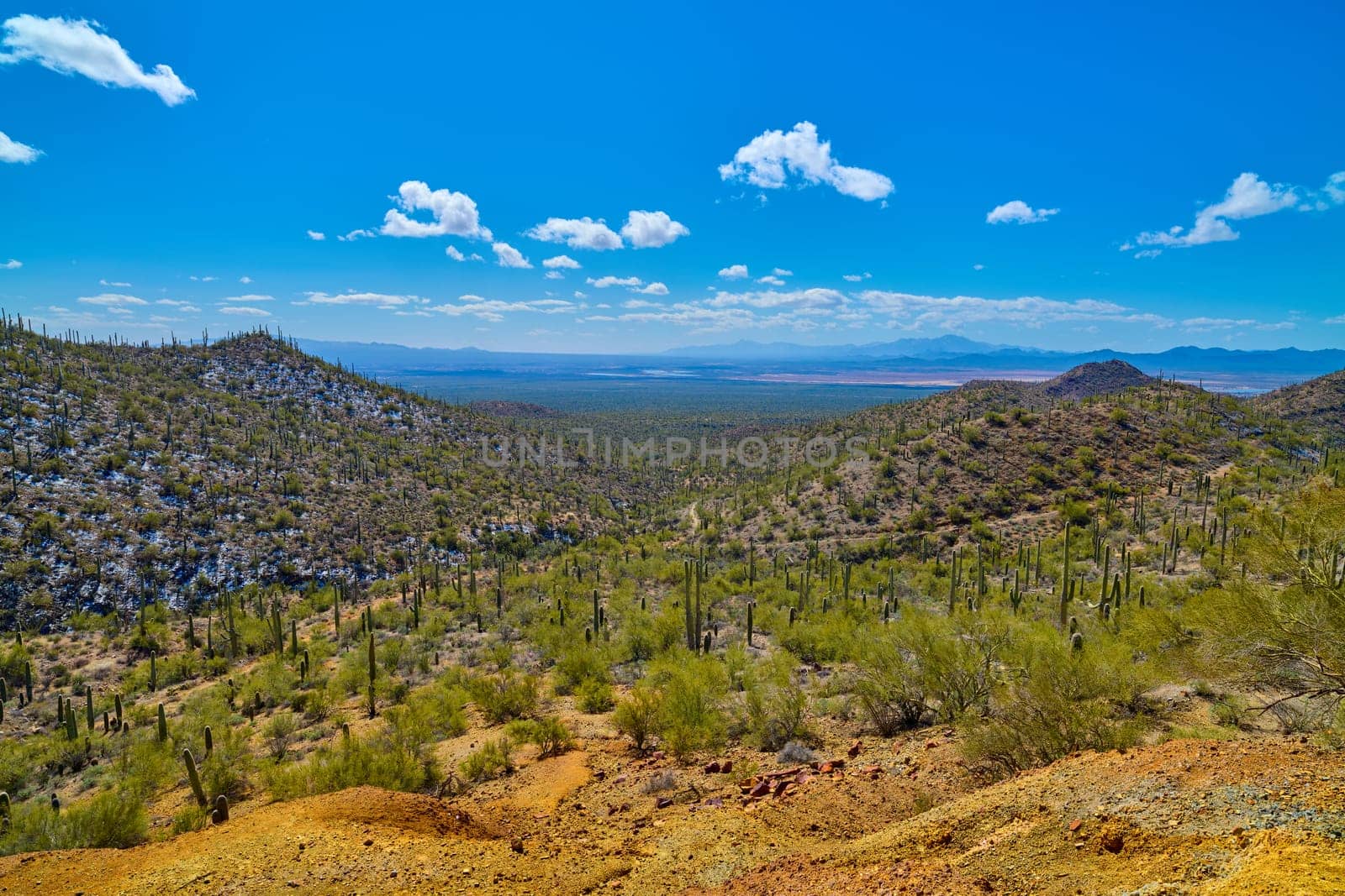 Views from Gould Mine in Saguaro National Park, Tucson Arizona. by patrickstock