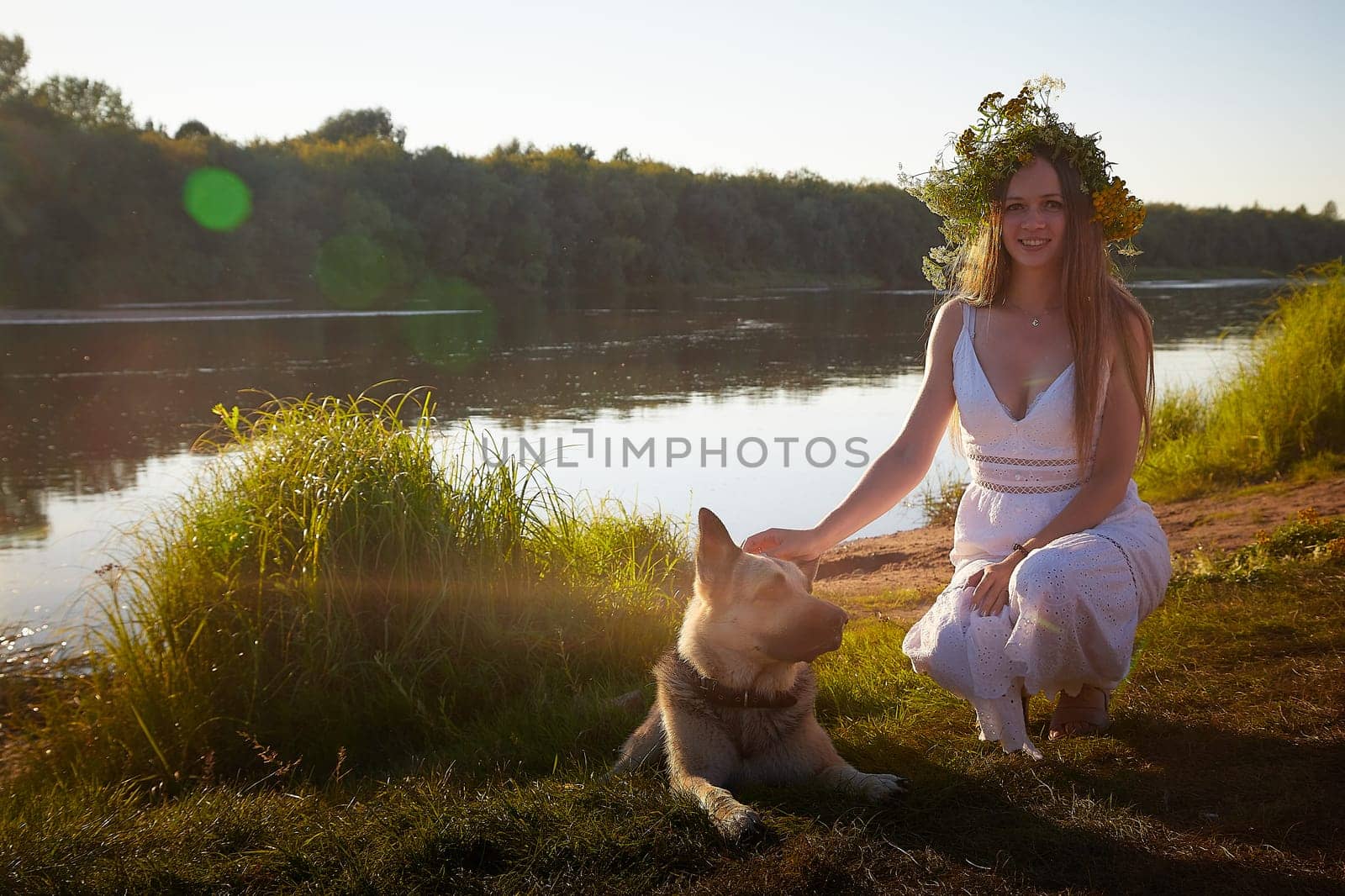 Young brunette girl in a white dress, sundress and a wreath of flowers with big shepherd dog in summer on the coast of river or lake in the evening at sunset celebrating pagan holiday of Ivan Kupala by keleny