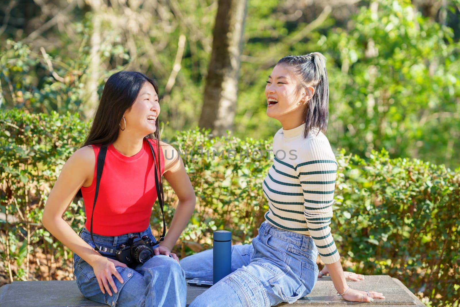 Cheerful young Asian female travelers in casual clothes laughing and speaking with each other, while sitting on wooden bench with thermos bottle and camera during trip in forest of Alhambra