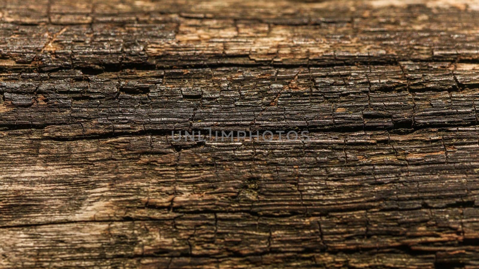 Old wood (sun shining to board on wooden bench) structure. Abstract natural background.
