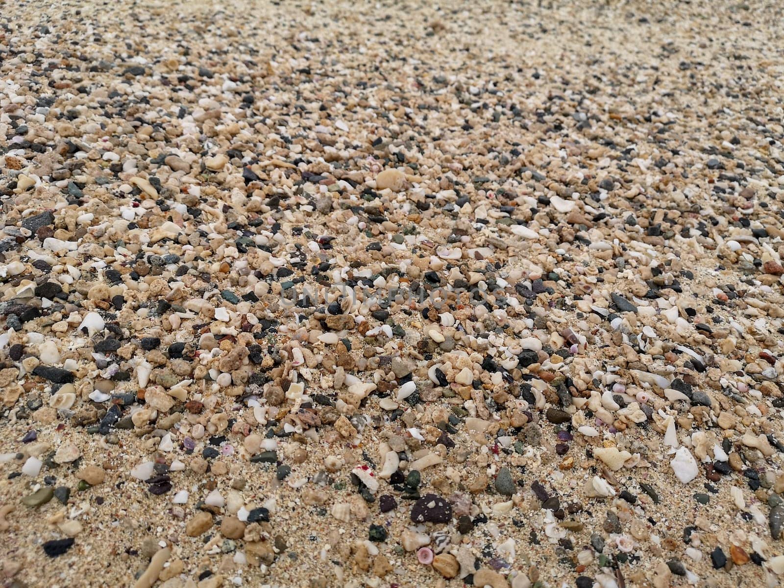 Sea shore sand,shells,corrals,stones,rocks background texture on the beach by feoktistova