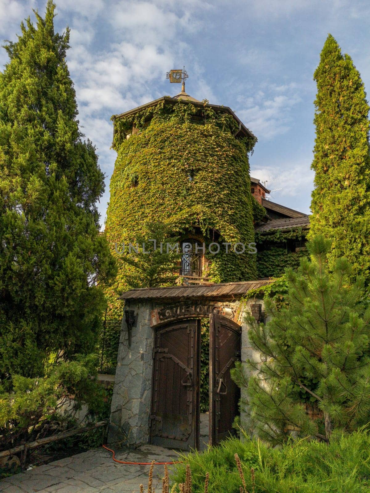 Medieval castle tower, old ancient architecture ivy-covered building by feoktistova