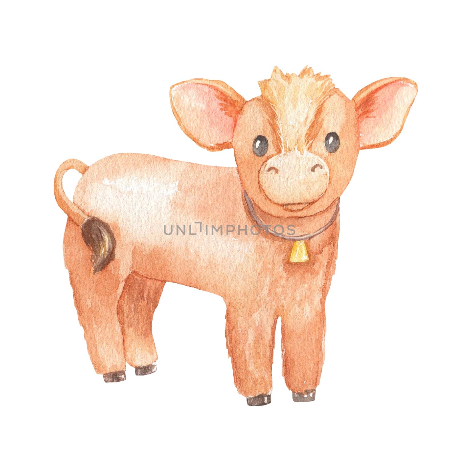 Cute calf isolated on white background. Watercolor cartoon illustration. Little cow