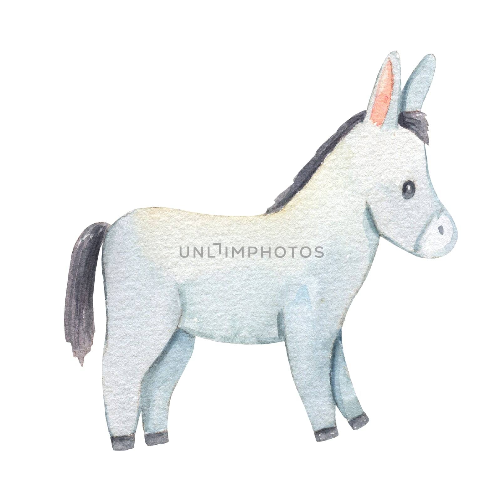 Cute donkey character isolated on white background. Childish watercolor illustration with farm animal for kids