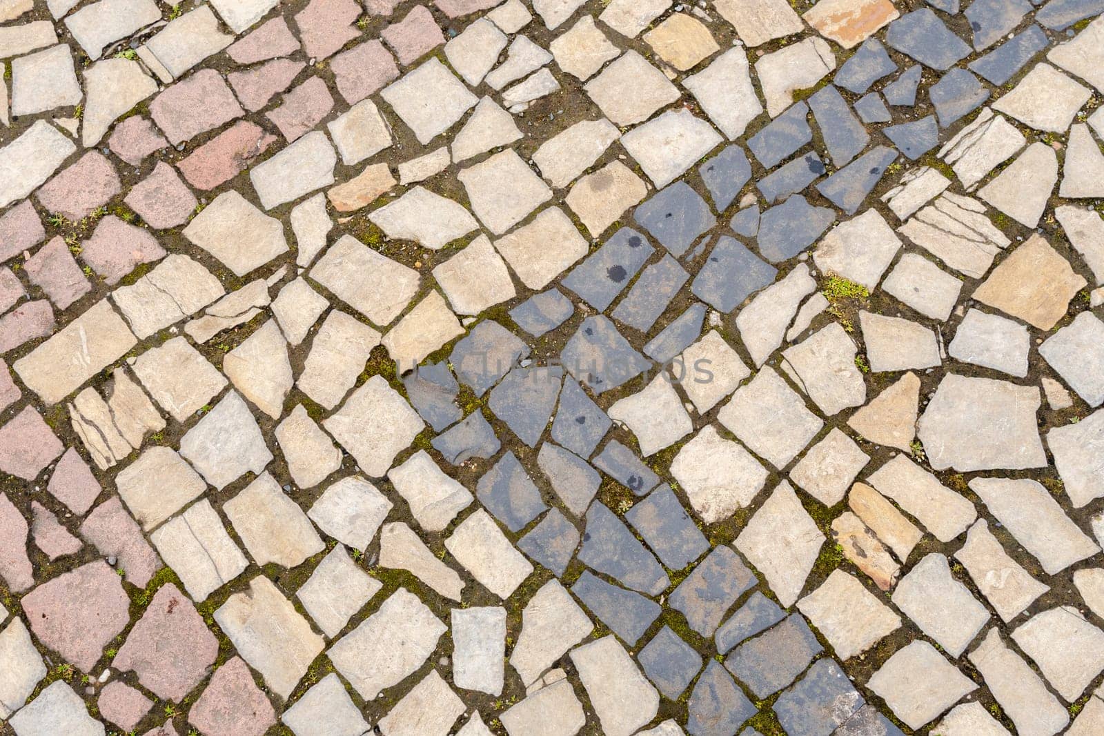A road paved with stones, a green grass between stones on the sidewalk.