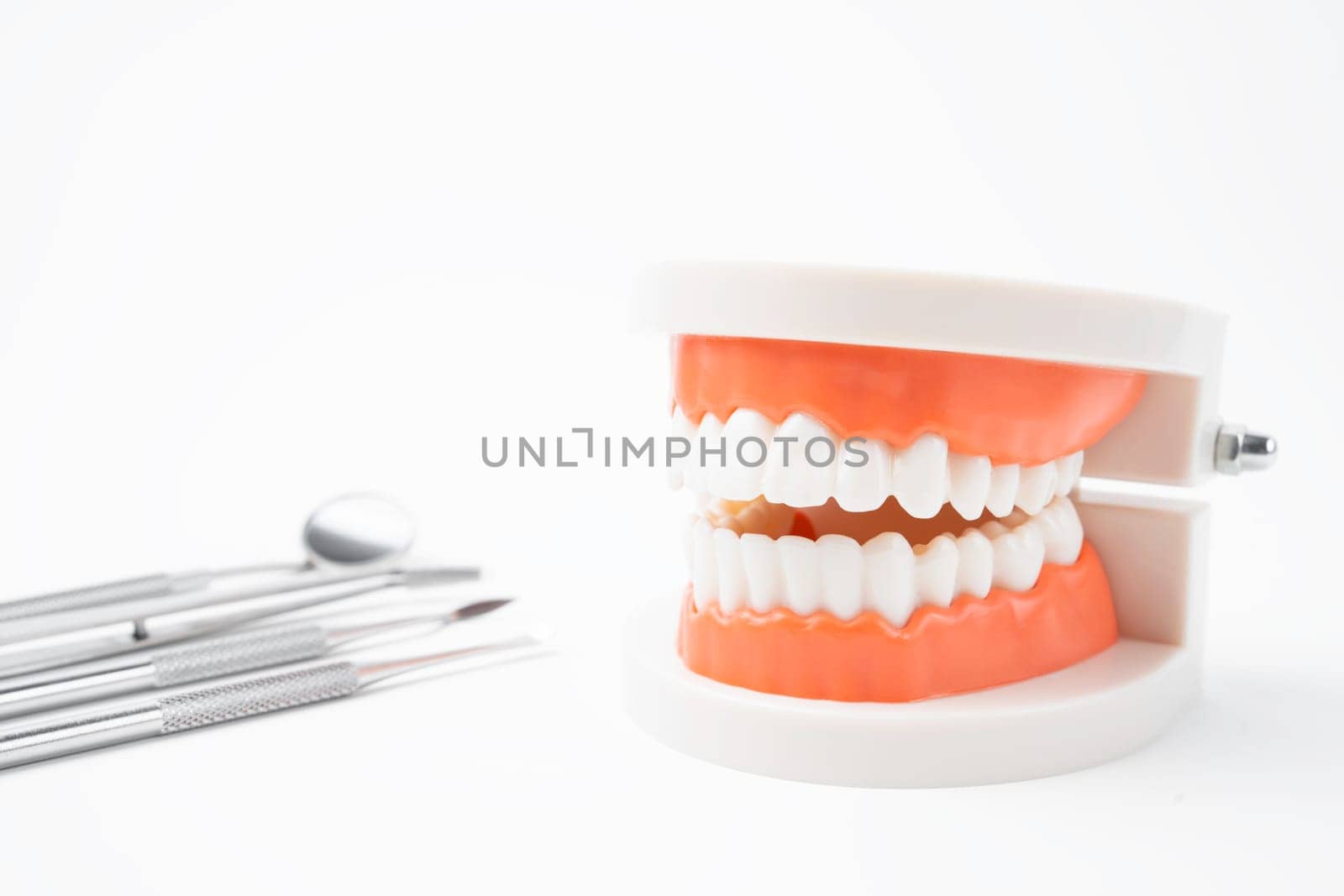 The Anatomical teeth model and dental tools on white background. by Gamjai
