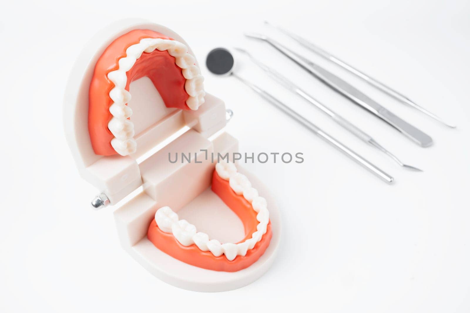 The Anatomical teeth model and dental tools on white background. by Gamjai