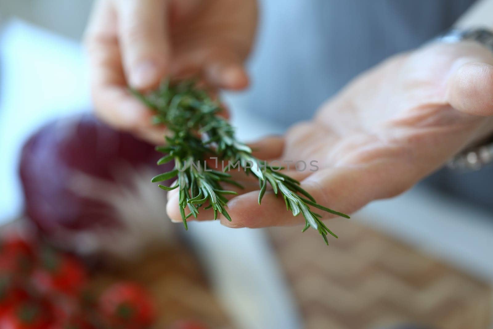 Hand cook and fresh green organic rosemary closeup. Rosemary sage in dinner dishes