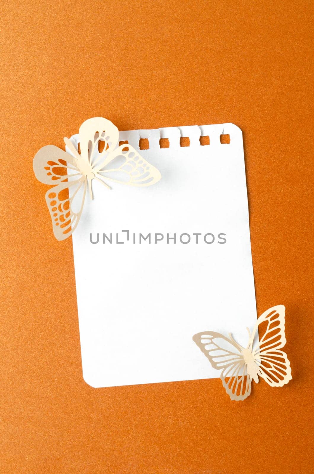The Blank reminder note and carve of paper butterfly on yellow background, space for text. by Gamjai