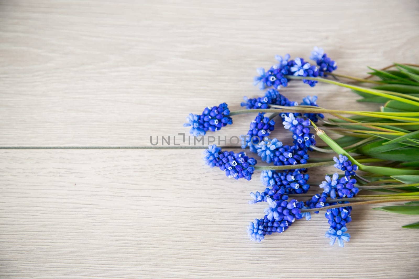 beautiful bouquet of spring flowers on a wooden table by Rawlik