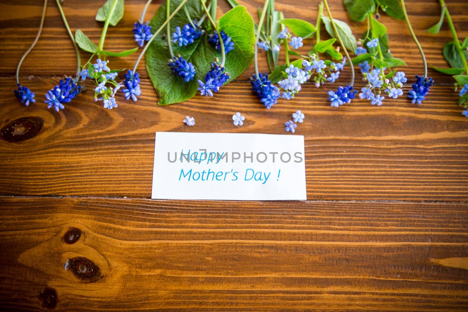 Wooden background with spring flowers and empty space for text.