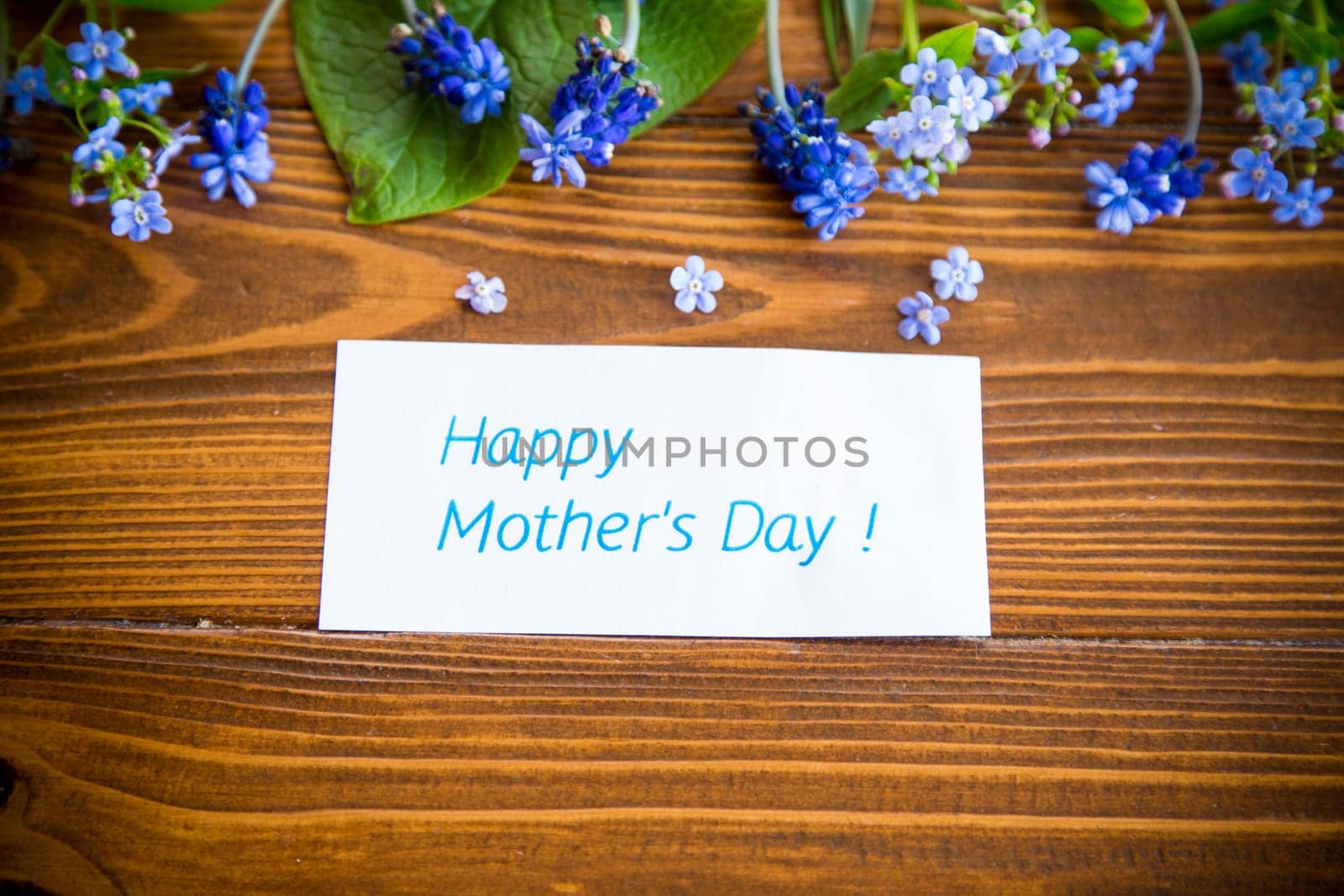 Wooden background with spring flowers and empty space for text.