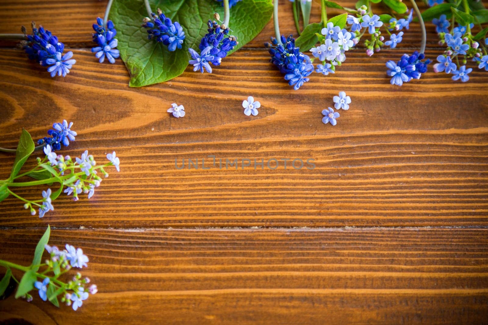 Wooden background with spring flowers and empty space for text.