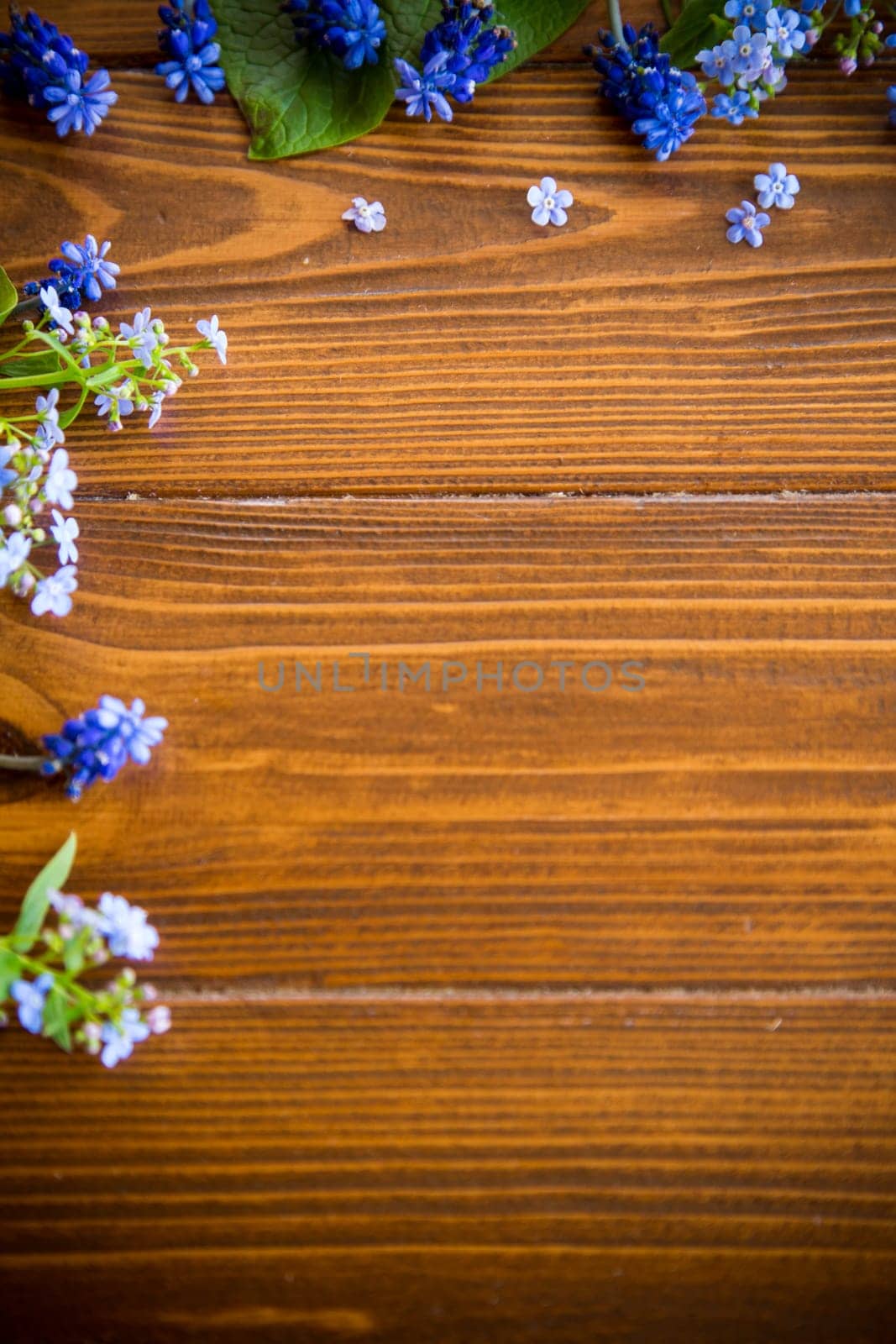 Wooden background with spring flowers and empty space by Rawlik