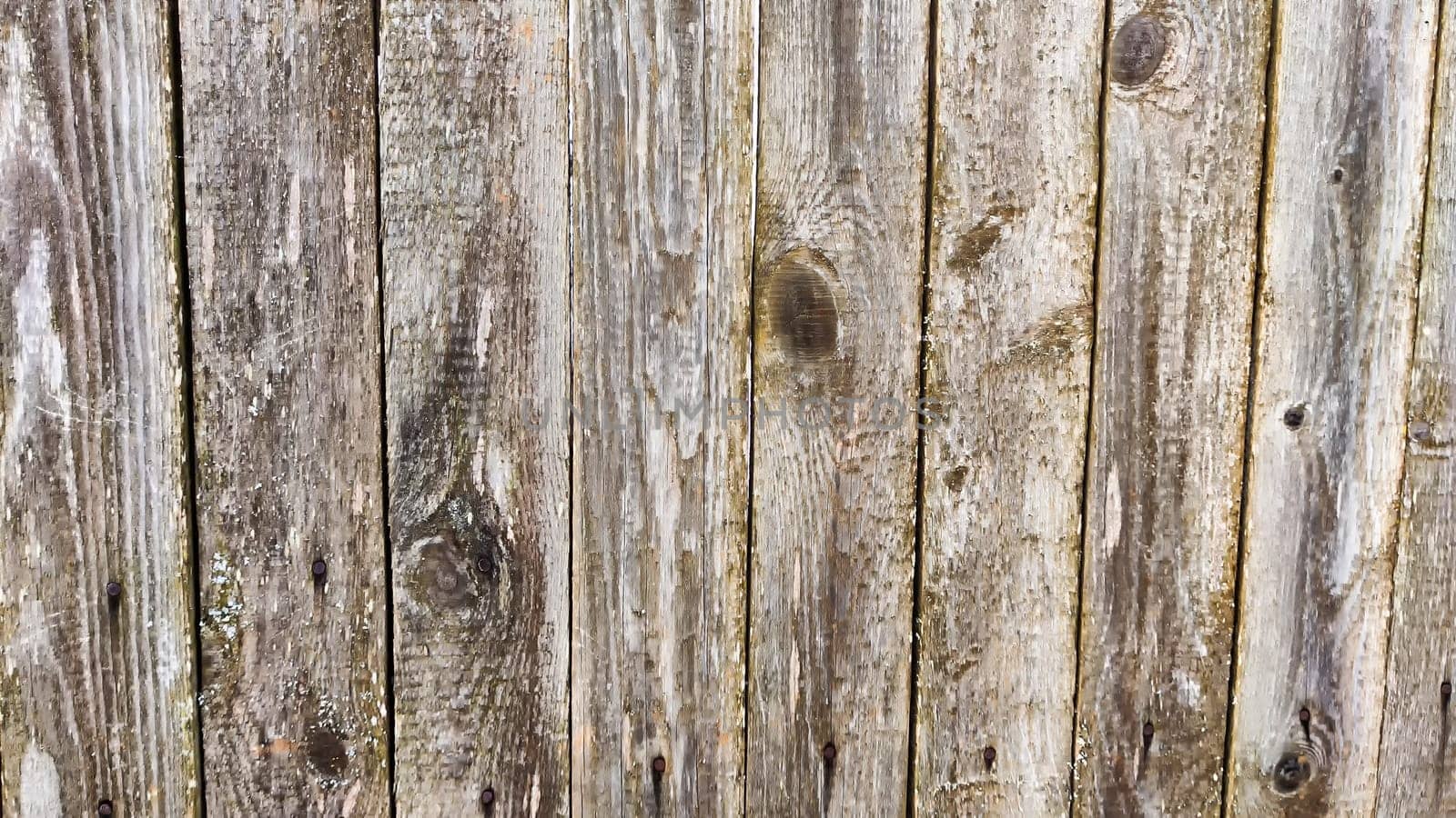 Fence made of wooden slats as Location, Background, texture, copy of space, frame. Abstract natural graphic resource